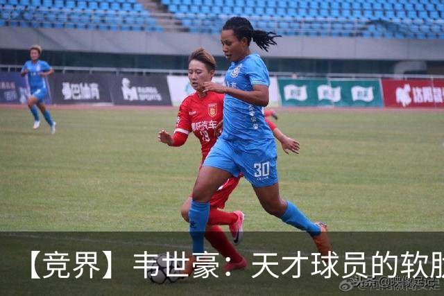 【竞界】韦世豪：天才球员的软肋 洪七公效应的外溢